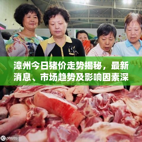 漳州今日豬價(jià)走勢(shì)揭秘，最新消息、市場(chǎng)趨勢(shì)及影響因素深度解析