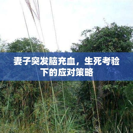 妻子突發(fā)腦充血，生死考驗下的應對策略