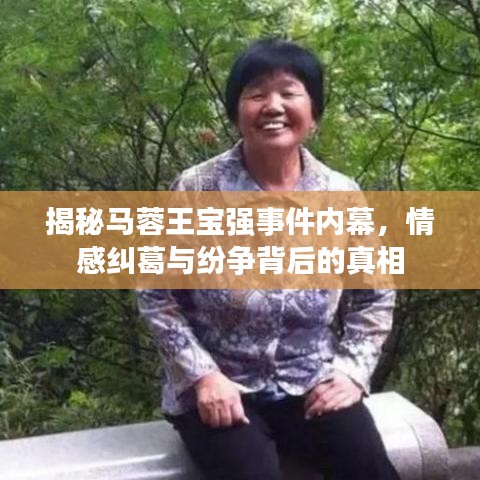 揭秘馬蓉王寶強事件內(nèi)幕，情感糾葛與紛爭背后的真相