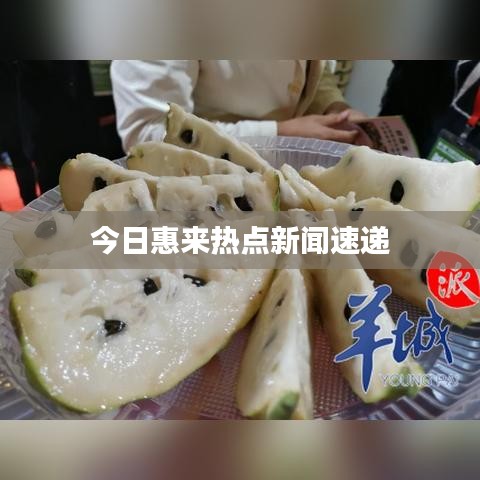 今日惠來熱點新聞速遞