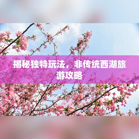 揭秘獨特玩法，非傳統(tǒng)西湖旅游攻略