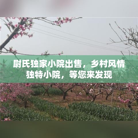 尉氏獨家小院出售，鄉(xiāng)村風情獨特小院，等您來發(fā)現(xiàn)