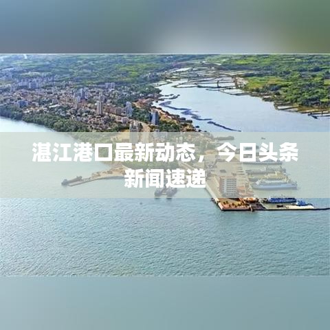 湛江港口最新動(dòng)態(tài)，今日頭條新聞速遞