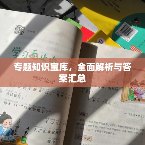 專題知識(shí)寶庫(kù)，全面解析與答案匯總