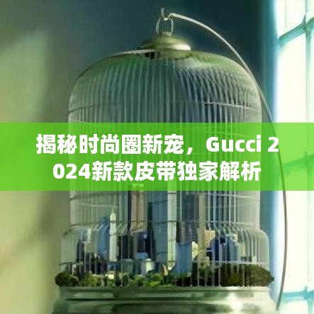 揭秘時(shí)尚圈新寵，Gucci 2024新款皮帶獨(dú)家解析