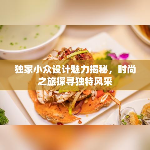 獨(dú)家小眾設(shè)計(jì)魅力揭秘，時(shí)尚之旅探尋獨(dú)特風(fēng)采