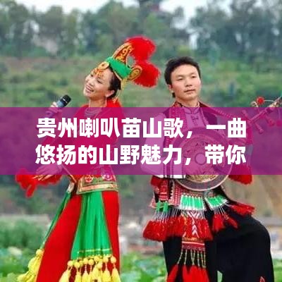貴州喇叭苗山歌，一曲悠揚(yáng)的山野魅力，帶你探尋其獨(dú)特韻味
