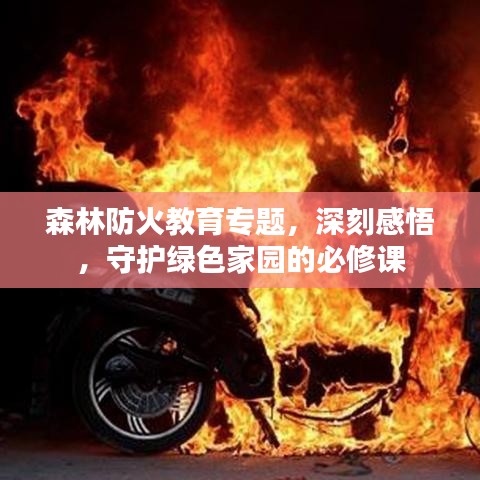 森林防火教育專題，深刻感悟，守護綠色家園的必修課