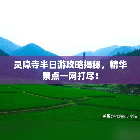 靈隱寺半日游攻略揭秘，精華景點一網(wǎng)打盡！