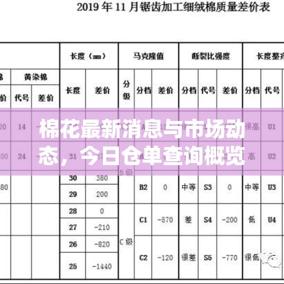 棉花最新消息與市場動態(tài)，今日倉單查詢概覽
