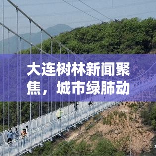 大連樹林新聞聚焦,城市綠肺動(dòng)態(tài)更新