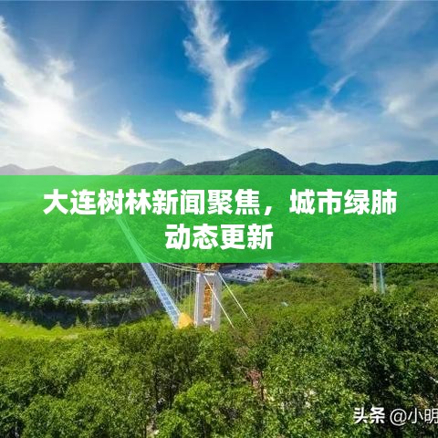 大連樹林新聞聚焦,城市綠肺動(dòng)態(tài)更新