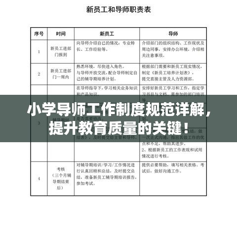 小學(xué)導(dǎo)師工作制度規(guī)范詳解，提升教育質(zhì)量的關(guān)鍵！