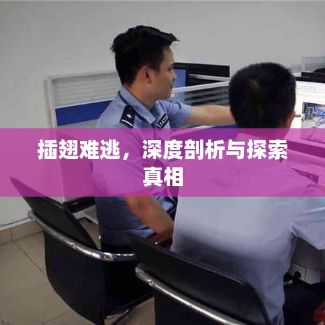 插翅難逃，深度剖析與探索真相