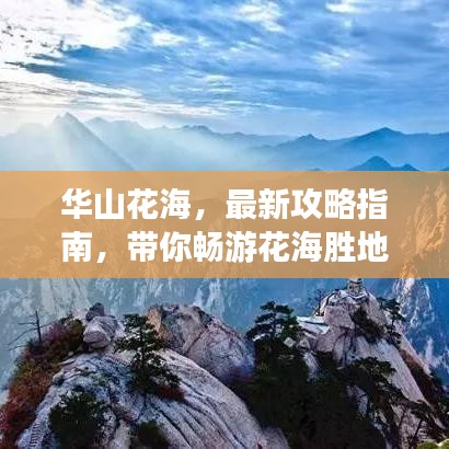 華山花海，最新攻略指南，帶你暢游花海勝地！