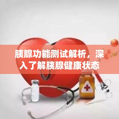 胰腺功能測試解析，深入了解胰腺健康狀態(tài)