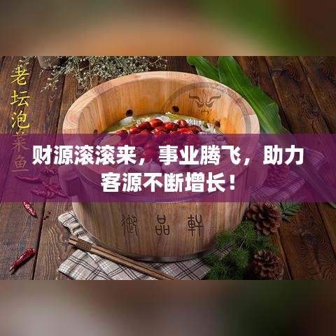 財源滾滾來，事業(yè)騰飛，助力客源不斷增長！