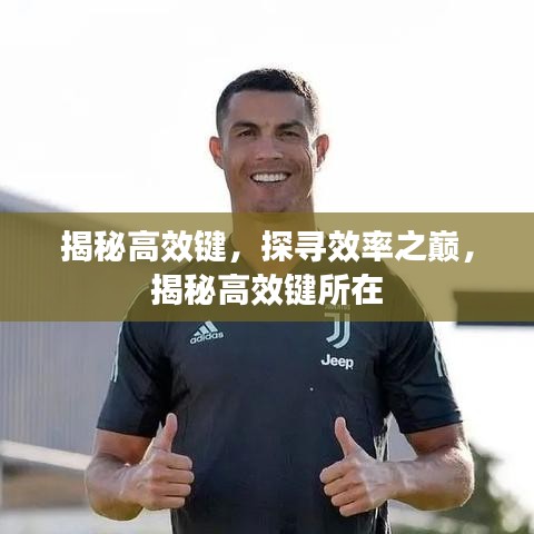 揭秘高效鍵，探尋效率之巔，揭秘高效鍵所在