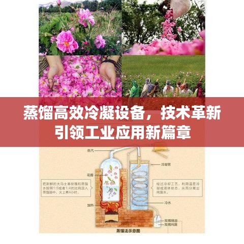 落土飛巖 第2頁