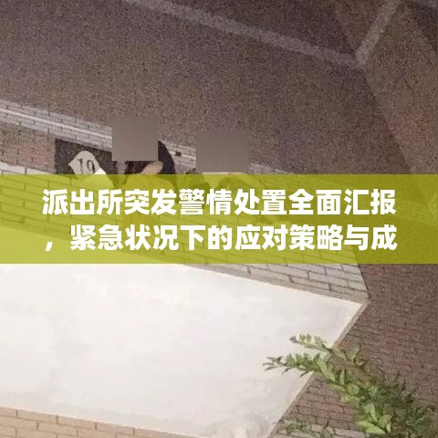 派出所突發(fā)警情處置全面匯報，緊急狀況下的應(yīng)對策略與成效分析