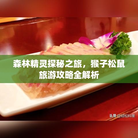 森林精靈探秘之旅，猴子松鼠旅游攻略全解析