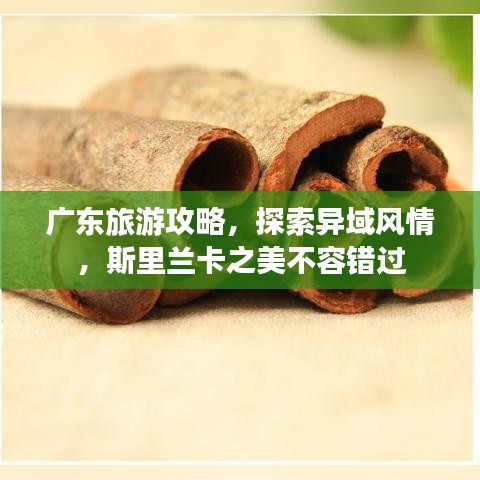 廣東旅游攻略，探索異域風(fēng)情，斯里蘭卡之美不容錯(cuò)過