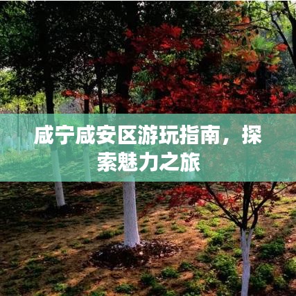 鳥(niǎo)語(yǔ)花香 第2頁(yè)