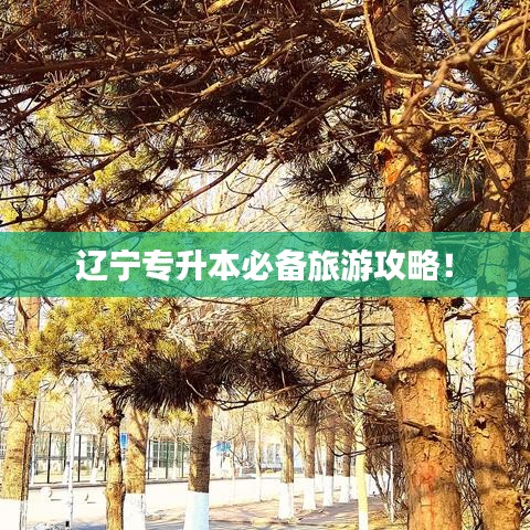 遼寧專升本必備旅游攻略！