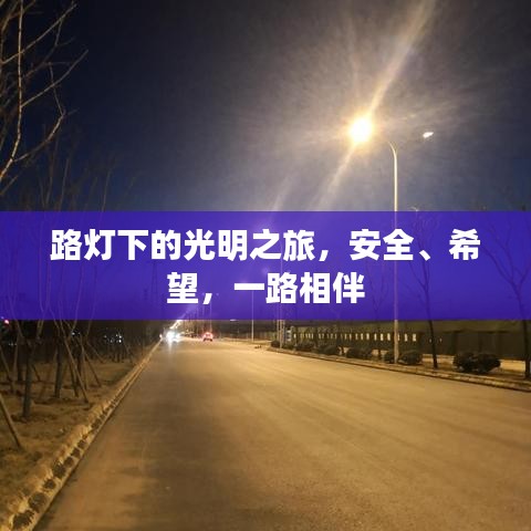 路燈下的光明之旅，安全、希望，一路相伴