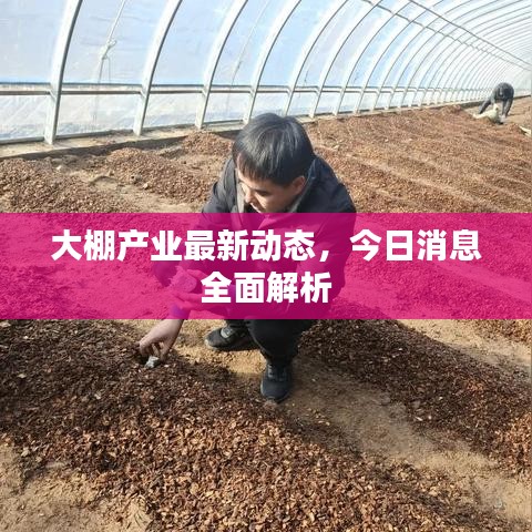 迷離馬虎 第2頁