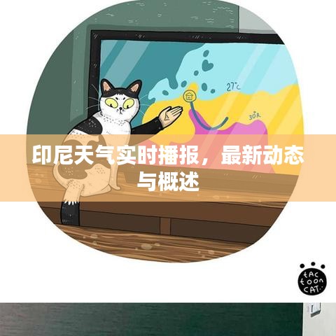 印尼天氣實(shí)時(shí)播報(bào),最新動(dòng)態(tài)與概述