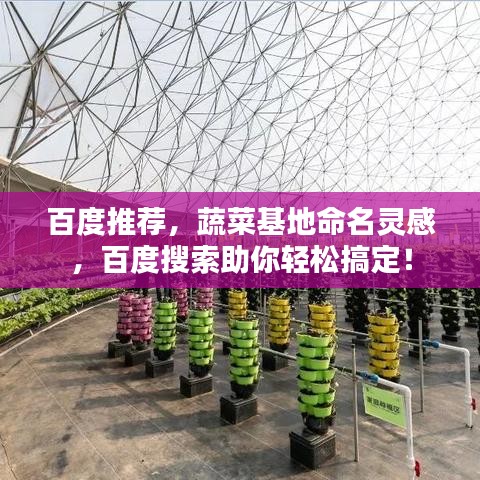 百度推薦，蔬菜基地命名靈感，百度搜索助你輕松搞定！