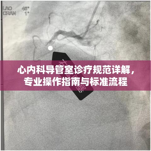 心內(nèi)科導(dǎo)管室診療規(guī)范詳解，專業(yè)操作指南與標(biāo)準(zhǔn)流程