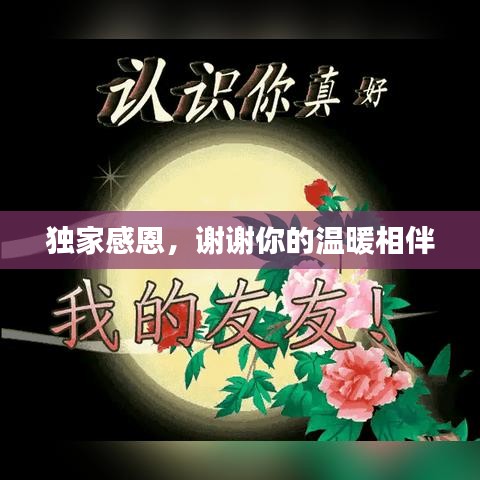 獨(dú)家感恩，謝謝你的溫暖相伴
