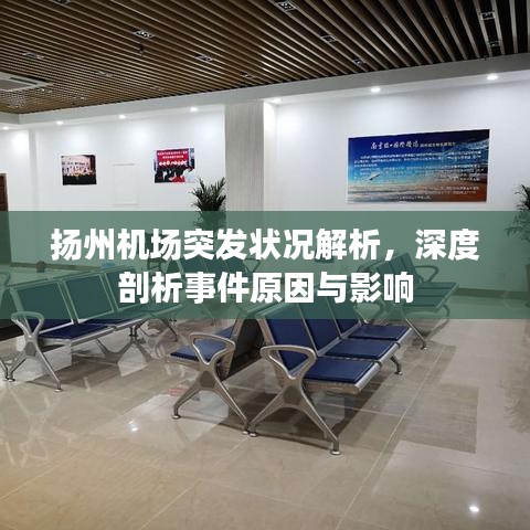 揚(yáng)州機(jī)場突發(fā)狀況解析，深度剖析事件原因與影響