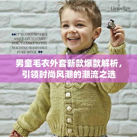 男童毛衣外套新款爆款解析，引領(lǐng)時(shí)尚風(fēng)潮的潮流之選