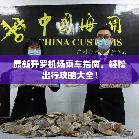 最新開羅機場乘車指南，輕松出行攻略大全！