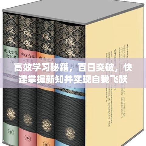 高效學(xué)習(xí)秘籍，百日突破，快速掌握新知并實(shí)現(xiàn)自我飛躍