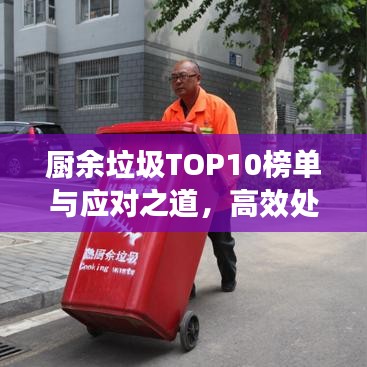 廚余垃圾TOP10榜單與應(yīng)對(duì)之道，高效處理策略揭秘