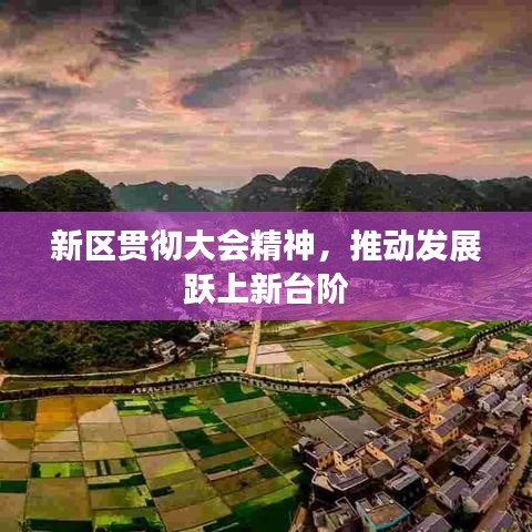新區(qū)貫徹大會精神，推動發(fā)展躍上新臺階