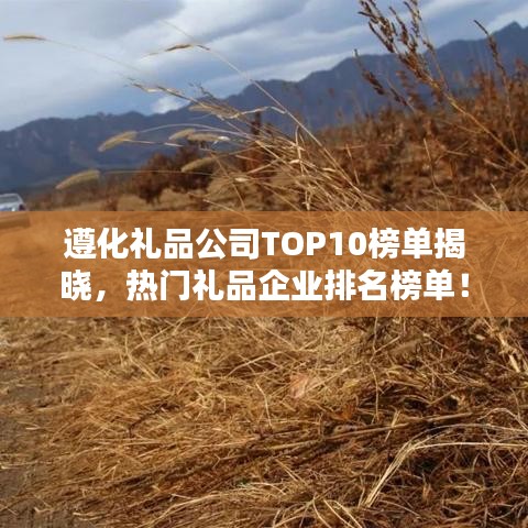 遵化禮品公司TOP10榜單揭曉,熱門禮品企業(yè)排名榜單!