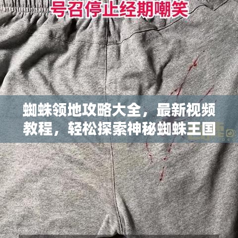 蜘蛛領地攻略大全，最新視頻教程，輕松探索神秘蜘蛛王國！