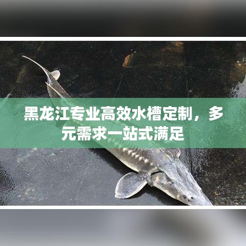 黑龍江專業(yè)高效水槽定制，多元需求一站式滿足