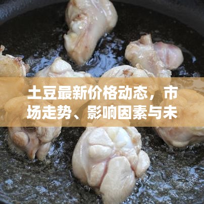 土豆最新價(jià)格動(dòng)態(tài)，市場(chǎng)走勢(shì)、影響因素與未來預(yù)測(cè)分析