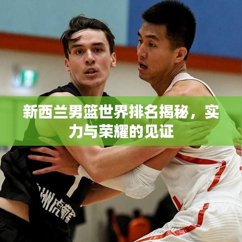 新西蘭男籃世界排名揭秘，實力與榮耀的見證