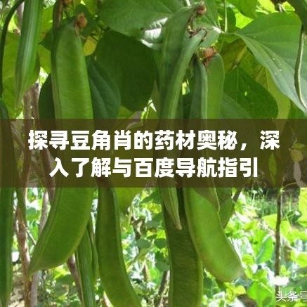 巧舌如簧 第2頁