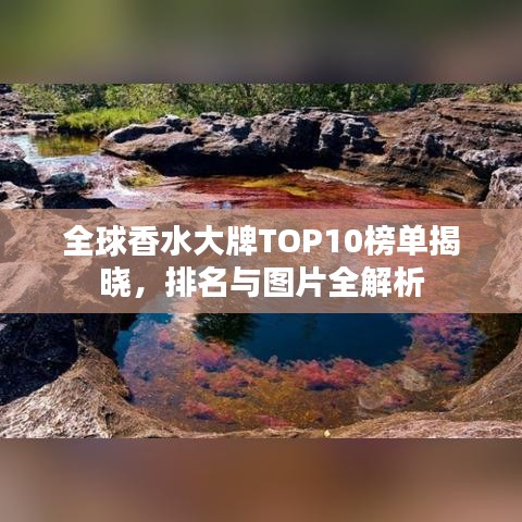 全球香水大牌TOP10榜單揭曉，排名與圖片全解析