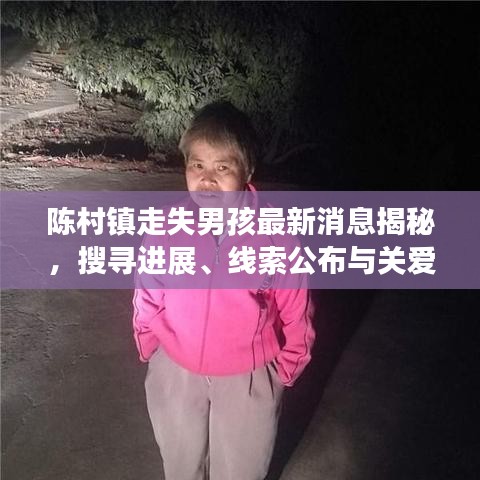 陳村鎮(zhèn)走失男孩最新消息揭秘，搜尋進(jìn)展、線索公布與關(guān)愛行動(dòng)啟動(dòng)