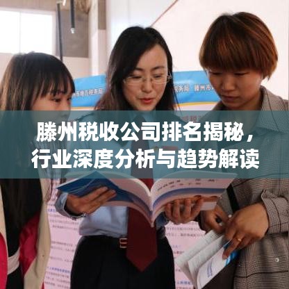 滕州稅收公司排名揭秘，行業(yè)深度分析與趨勢解讀