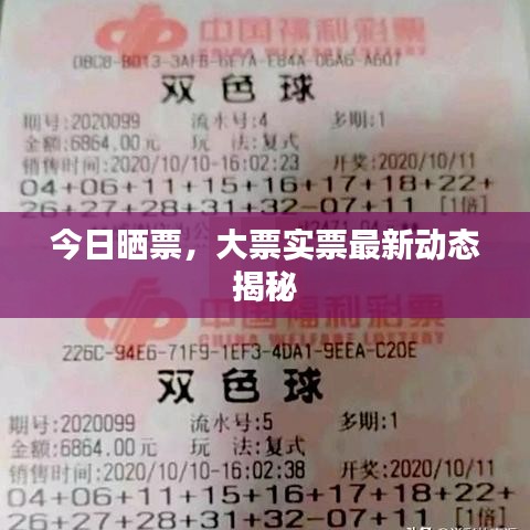 今日曬票，大票實(shí)票最新動(dòng)態(tài)揭秘
